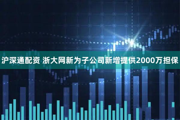 沪深通配资 浙大网新为子公司新增提供2000万担保